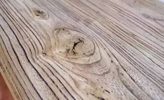 聞香識木，教您識別身邊的木材